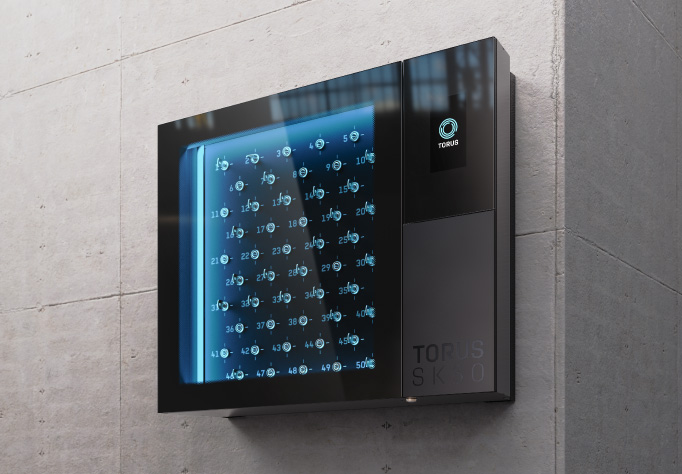 Torus key management IoT solution